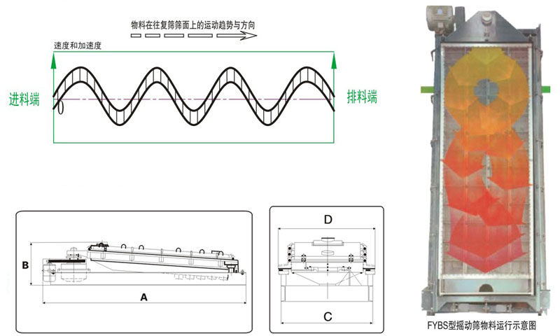 hxs運動示意圖